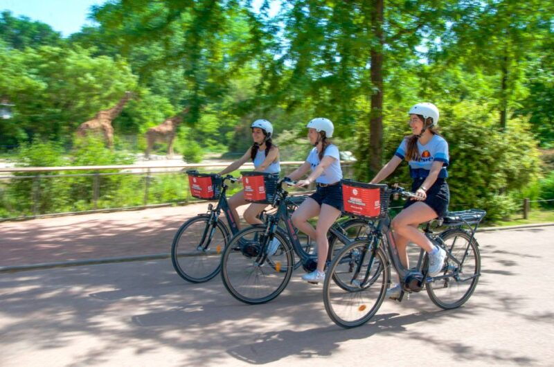 lyon-discovery-of-the-tete-dor-park-by-ebike