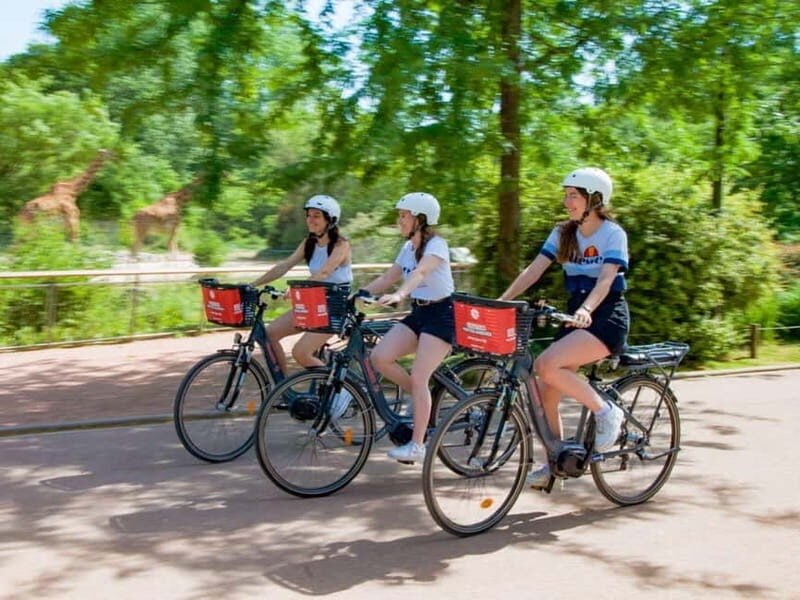 Lyon: Rent an electric bike for half a day - Why Rent an Electric Bike in Lyon?