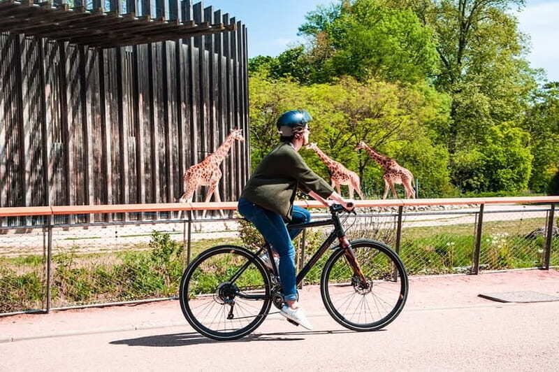 Lyon: The Great Bike Tour - Key Points