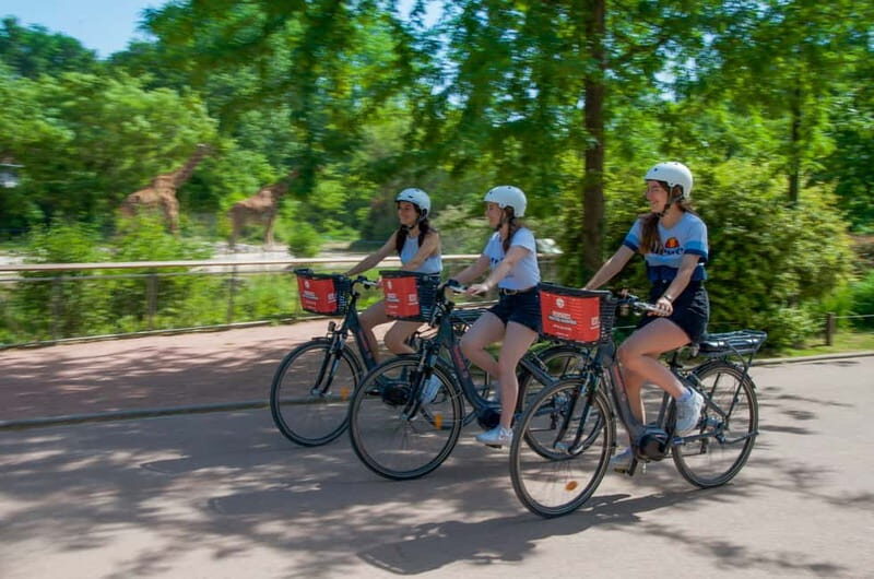 Lyon: The Great ebike Tour - Practical Details & What to Expect