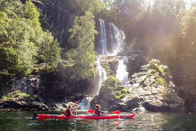 lysefjord-kayak-safari-4