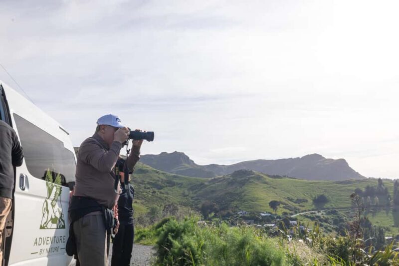 Lyttelton: Shore Excursion, Castle Hill & Inland Canterbury - An In-Depth Look at the Itinerary