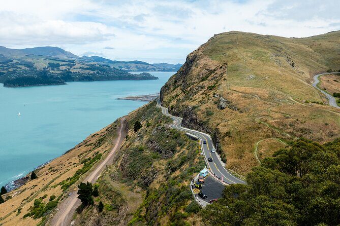 Lyttelton Shore Excursion - Christchurch Highlights & Punting - Who Will Love This Tour?