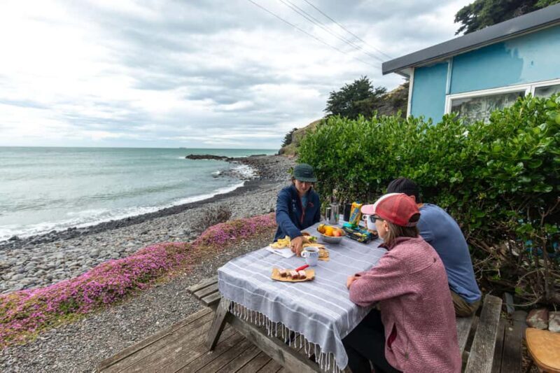 Lyttelton: Shore Excursion, Godley Head, Guided Walk - Scenic Drive and Morning Tea at Sumner Beach
