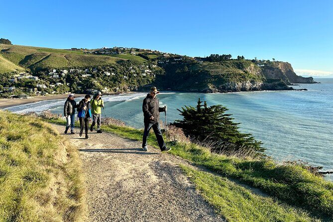 Lyttelton Shore Excursion - Guided Walking Tour and Picnic - An In-Depth Look at the Tour