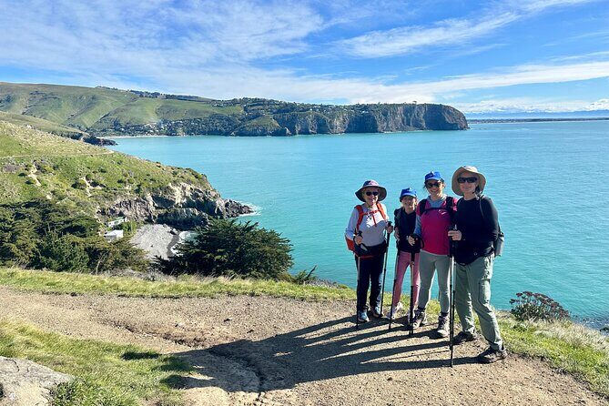 Lyttelton Shore Excursion - Guided Walking Tour and Picnic - Who Is This Tour Best For?