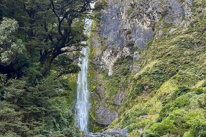 Lyttleton Port Excursion Day Tour 3 options for Cruise travelers - Who Should Consider This Tour?