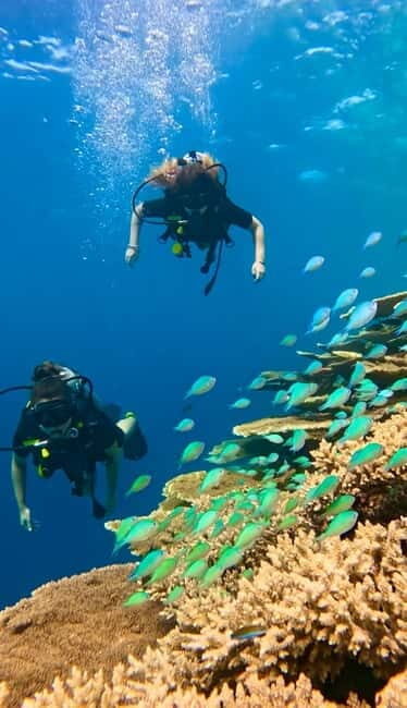 Maafushi: Discover Scuba Diving Class, First Time Experience - Key Points