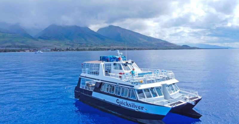 maalaea-harbor-whale-watching-tour-aboard-power-catamaran