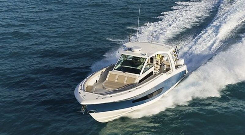 maalaea-small-group-2-hour-whale-watch-experience