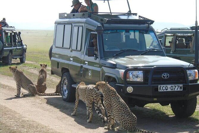 Maasai Mara 3 Day Guided Tour - Final Thoughts: Who Is This Tour Best For?