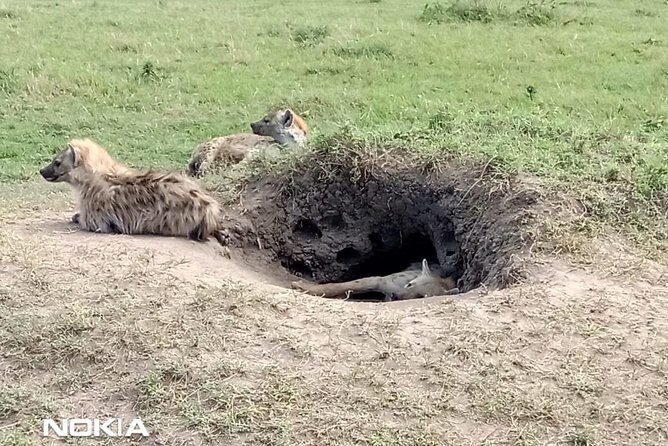 Maasai Mara Game Reserve - The Sum Up