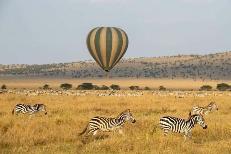 Maasai Mara: Hot Air Balloon Safari with Champagne Breakfast - Key Points