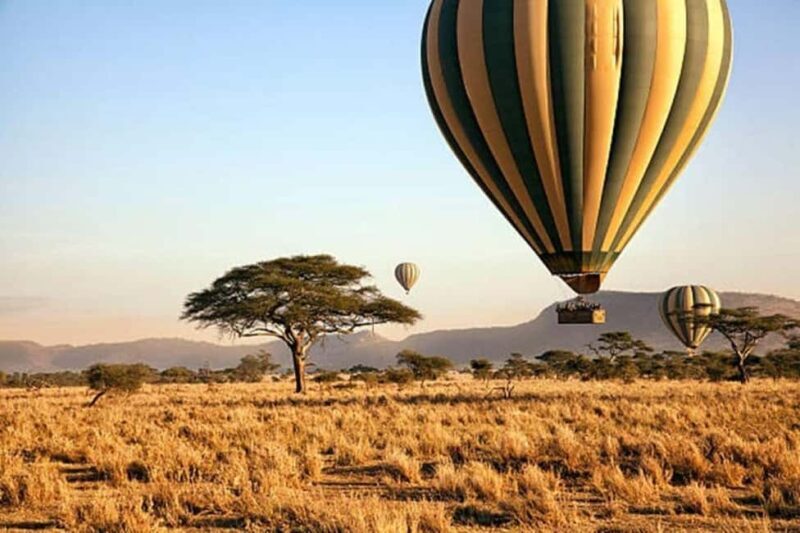 Maasai Mara: Hot Air Balloon Safari with Champagne Breakfast - An Overview of the Maasai Mara Hot Air Balloon Tour