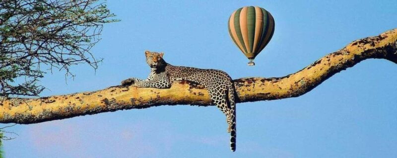 Maasai Mara: Hot Air Balloon Safari with Champagne Breakfast - Practical Details That Matter
