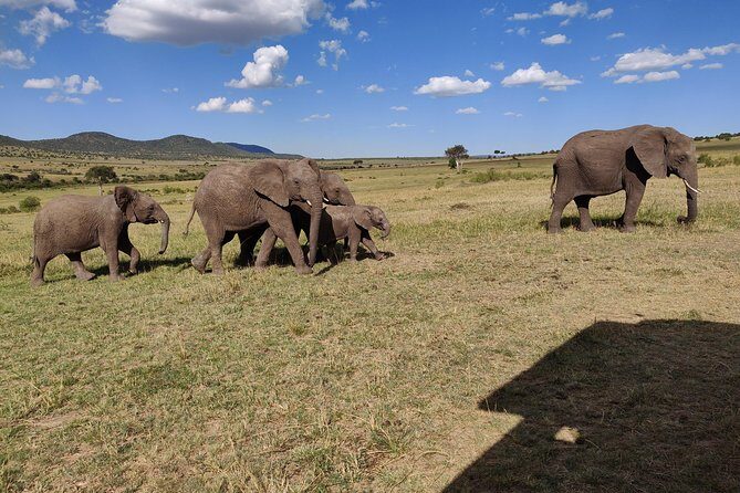 Maasai Mara Safari!! - Key Points
