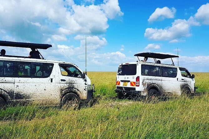 Maasai Mara Safari!! - Transportation, Timing, and Comfort