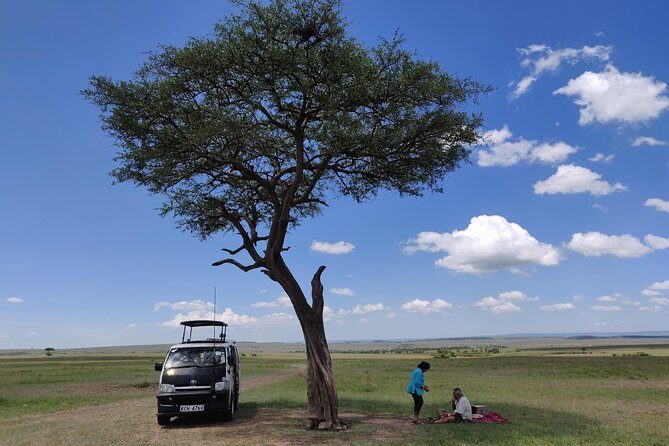 Maasai Mara Safari!! - The Value of This Tour