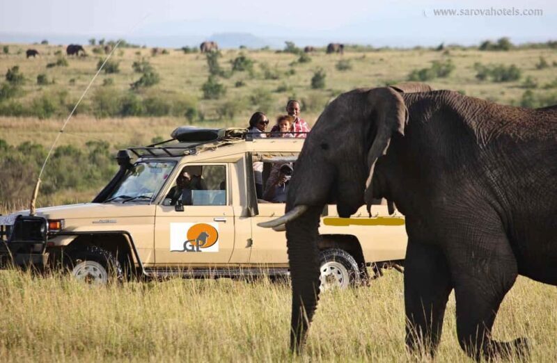 Maasai Mara: Wildebeest Migration 4-Day Safari - FAQ