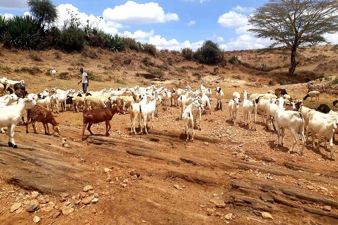 Maasai Village Experience Day Tour - Final Thoughts
