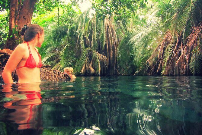 Maasai village visit and Chemka hot-springs with hot lunch. - Relaxing at Chemka Hot Springs