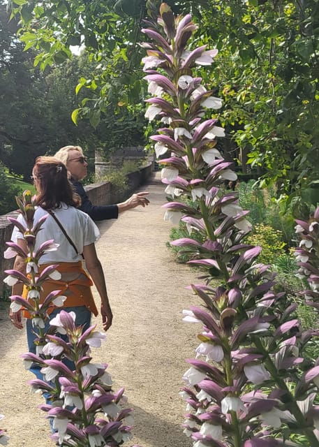 maastricht-hidden-gems-tour-uncover-the-unexpected