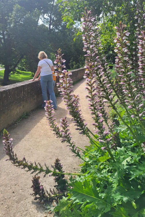 maastricht-hidden-gems-tour-uncover-the-unexpected