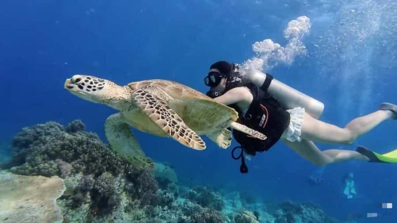 Mabul-Kapalai Islands Diving & Lunch &Photography Tour - Starting Point: Semporna Jetty and Friendly Check-In