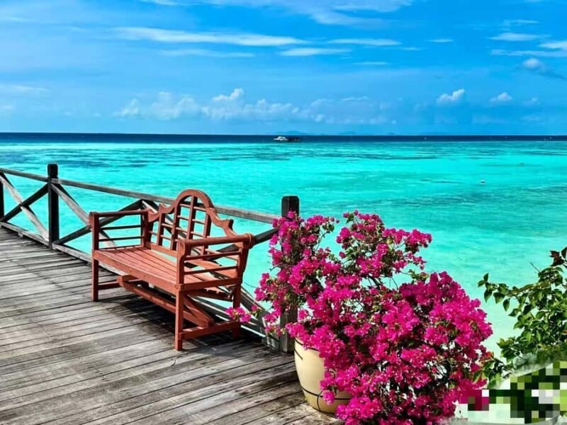 Mabul-Kapalai Islands Diving & Lunch &Photography Tour - Lunch Break: Tasty and Well-Organized