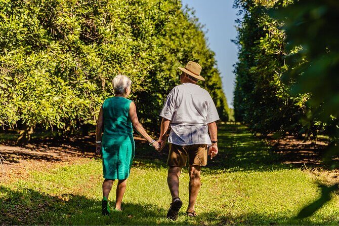 Macadamias Australia Orchard Tour in Bundaberg - Experience the Macadamias Australia Orchard Tour in Bundaberg