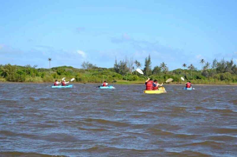 Macaneta Beach: Kayak Tour to the Incomati River Islands - Macaneta Beach: Kayak Tour to the Incomati River Islands