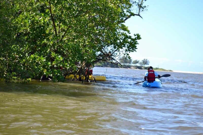 Macaneta Beach: Kayak Tour to the Incomati River Islands - Key Points