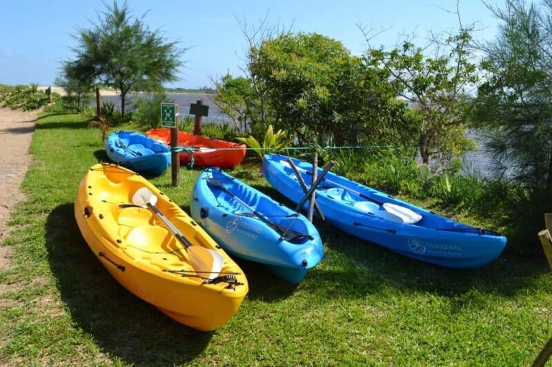 Macaneta Beach: Kayak Tour to the Incomati River Islands - What Makes This Tour Stand Out?