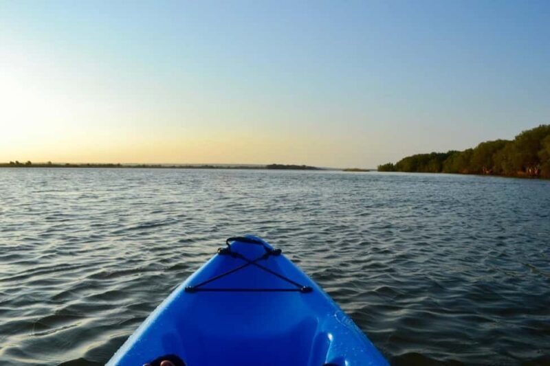 Macaneta Beach: Kayak Tour to the Incomati River Islands - Practical Tips for Your Kayak Day Out