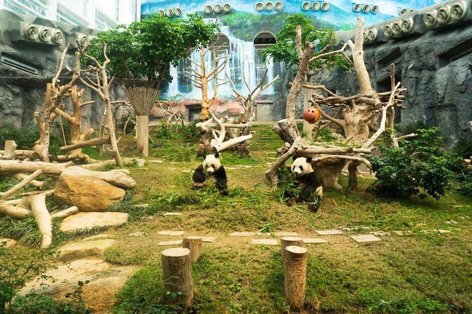 Macau Private Tour with an Insider - Macau Private Tour with an Insider: A Compact, Authentic Peek into the City