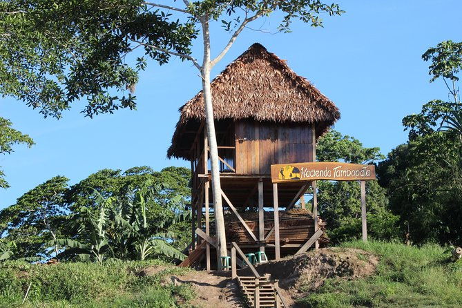 macaw-collpa-sandoval-lake-4-days-3-nights