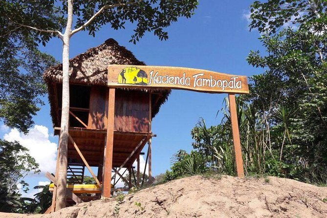 macaw-collpa-sandoval-lake-4-days-3-nights