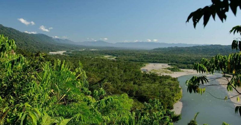 macaw-magic-3-days-at-tambopatas-clay-lick