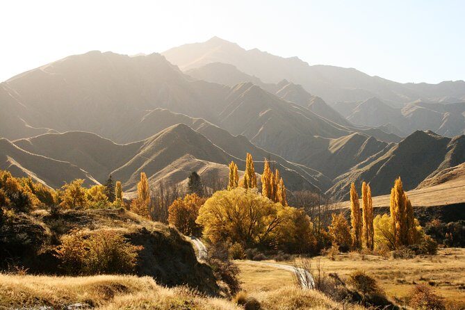 Macetown 4WD Adventure  Full Day Guided Tour from Queenstown - A Deep Dive into the Experience