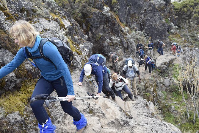 Machame Route 6 days 5 Nights/Kilimanjaro Climb - Overview of the Machame Route 6-Day Kilimanjaro Climb