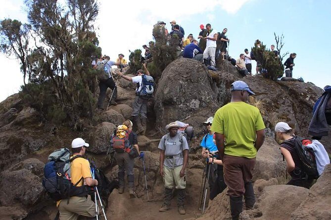 Machame Route 6 days 5 Nights/Kilimanjaro Climb - FAQs