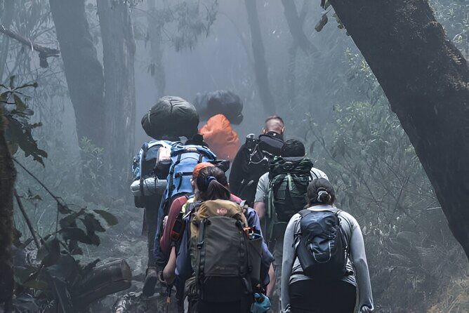 Machame Route 7-Day Private Kilimanjaro Trek - An In-Depth Look at the 7-Day Machame Route Trek