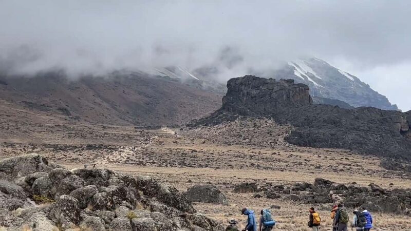 Machame Route 7 Days + Coffee Farm & Village - Key Points