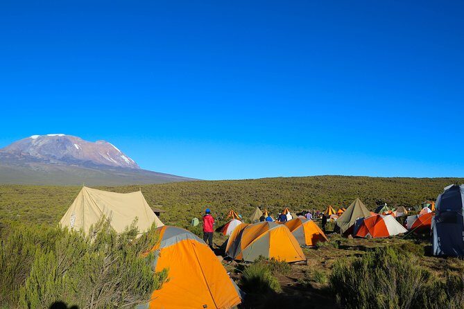 machame route - What We Love About the Machame Route Tour with Habari Adventure