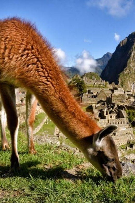 machu-picchu-1-day-adventure-lunch-2