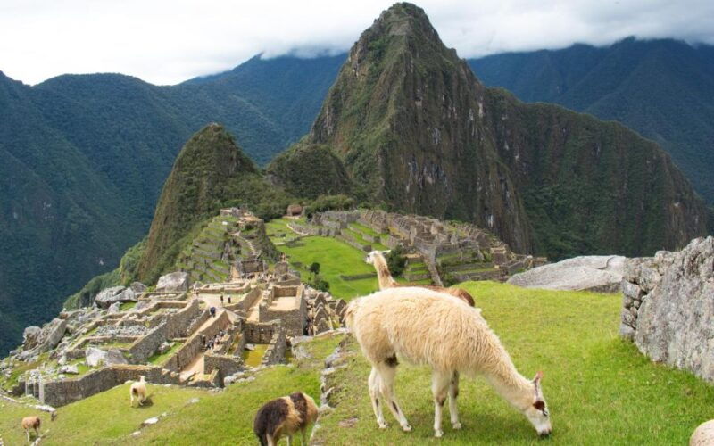 machu-picchu-1-day-tour-by-vistadome-observatory-train