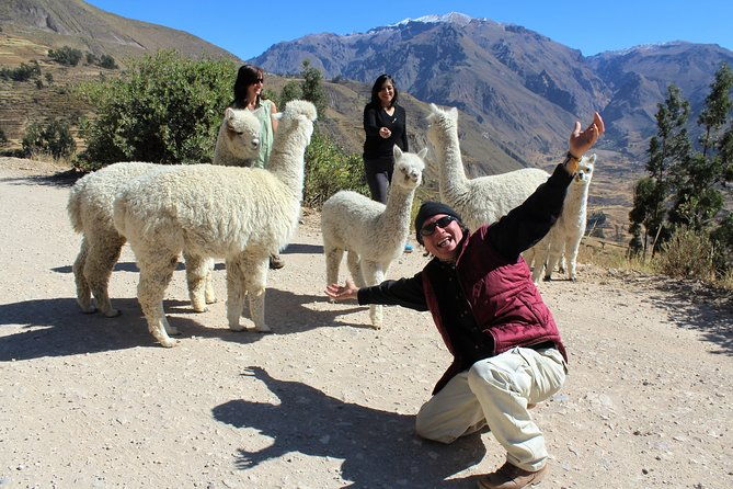 machu-picchu-2-days-and-1-night-by-train-standart-by-travelrubio