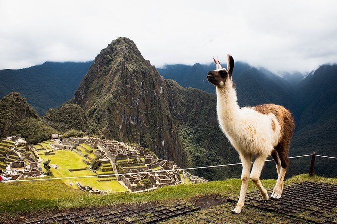 machu-picchu-a-full-day-tour