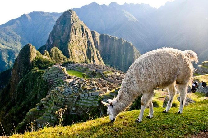 machu-picchu-by-train-day-trip-4
