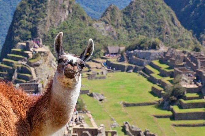 machu-picchu-by-train-day-trip-private